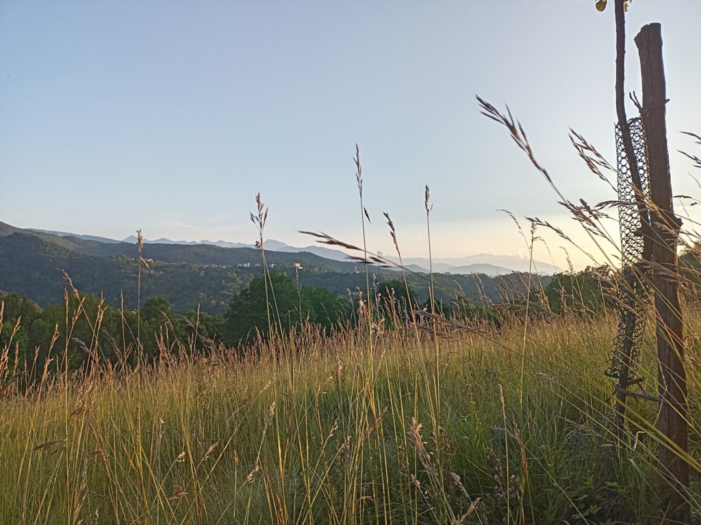 Panorama 3